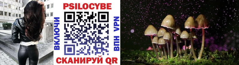 Галлюциногенные грибы Cubensis  Купить закладки  Алушта 
